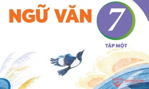 /assets/news/2023_12/ngu-van-7-kn.jpg