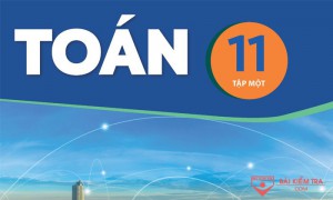 /assets/news/2023_12/toan-11-ktntt.jpg
