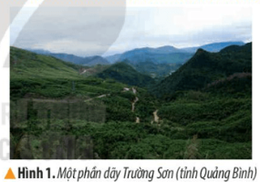 Giải Lịch sử và Địa lý 4 sách Kết nối, bài 15: Thiên nhiên vùng Duyên hải miền Trung