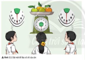 Giải Khoa học tự nhiên 6 sách Chân trời, bài 5: Đo khối lượng