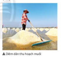 Giải Khoa học tự nhiên 6 sách Chân trời, bài 8: Sự đa dạng và các thể cơ bản của chất. Tính chất của chất