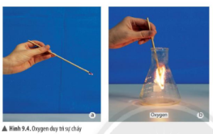 Giải Khoa học tự nhiên 6 sách Chân trời, bài 9: Oxygen