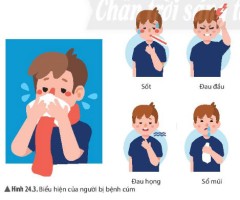 Giải Khoa học tự nhiên 6 sách Chân trời, bài 24: Virus