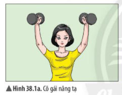 Giải Khoa học tự nhiên 6 sách Chân trời, bài 38:  Lực tiếp xúc và lực không tiếp xúc