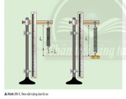 Giải Khoa học tự nhiên 6 sách Chân trời, bài 39: Biến dạng của lò xo. Phép đo lực