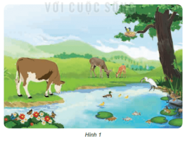 Giải Khoa học 4 sách Kết nối, bài 16: Động vật cần gì để sống ?