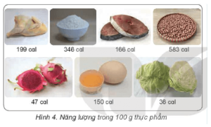 Giải Khoa học 4 sách Kết nối, bài 23: Vai trò của chất dinh dưỡng với cơ thể