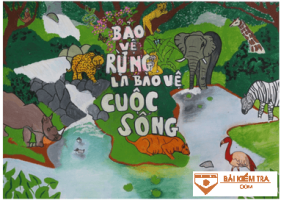 Giải Lịch sử và Địa lý 4 sách Chân trời sáng tạo, bài 19: Thiên nhiên vùng Tây Nguyên
