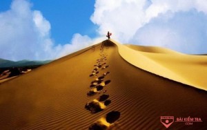 /assets/news/2024_03/con-cat-quang-phu-quang-binh.jpg