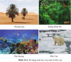 Giải Khoa học tự nhiên 6 sách Cánh diều, bài 24: Đa dạng sinh học