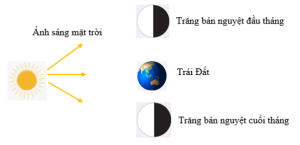 Giải Khoa học tự nhiên 6 sách Cánh diều, bài 34: Các hình dạng nhìn thấy của Mặt Trăng