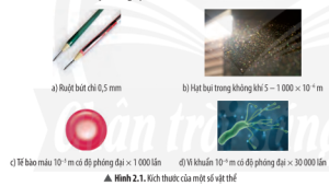 Giải Khoa học tự nhiên 7 sách Chân trời sáng tạo, bài 2: Nguyên tử