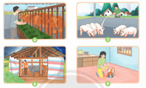 Giải Khoa học 4 sách Chân trời, bài 17: Chăm sóc cây trồng và vật nuôi