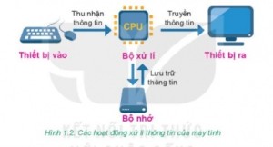 Giải Tin học 6 sách Chân trời, bài 2: Xử lí thông tin