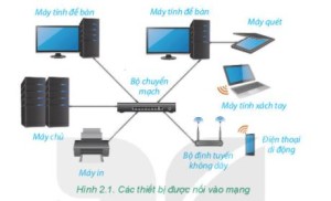 Giải Tin học 6 sách Chân trời, bài 4: Mạng máy tính