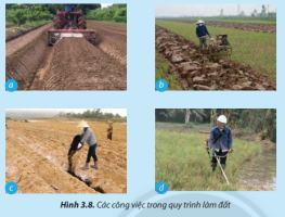 Giải Công nghệ 7 sách Chân trời, bài 3: Quy trình trồng trọt