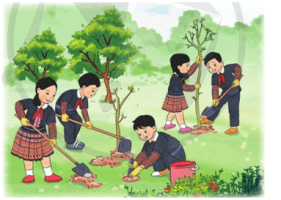 Giải Toán 4 sách Cánh diều, bài 30: Luyện tập chung
