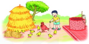 Giải Toán 2 sách Kết nối, bài 43: Bảng chia 2