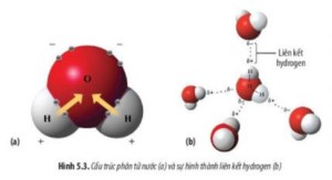 /assets/news/2024_05/giai-sinh-10-bai-5-ctst-2.jpg