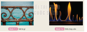 /assets/news/2024_05/hoat-dong-trang-31-khtn-8-ket-noi.png