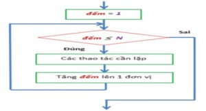 Đề thi học kì 2 môn Tin học 6 sách Chân trời sáng tạo (Đề 3)