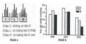 Đề thi thử THPT Quốc Gia môn Sinh học năm 2024 (Đề 5)