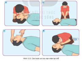 Giải Công nghệ 8 sách Kết nối tri thức, bài 13: Sơ cứu người bị tai nạn điện