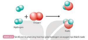 Giải Khoa học tự nhiên 8 sách Kết nối tri thức, bài 2: Phản ứng hóa học