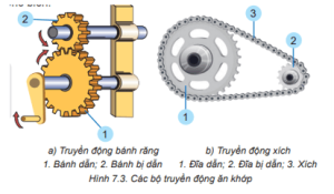 Giải Công nghệ 8 sách Kết nối tri thức, bài 7: Truyền và biến đổi chuyển động