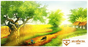 /assets/news/2024_05/mua-xuan-chin-han-mac-tu.png
