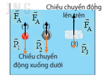 /assets/news/2024_06/cau-hoi-1-trang-73-khtn-8-ket-noi-1.png