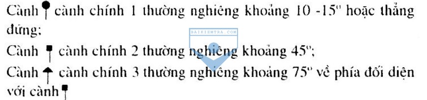 bai giang cong nghe 6