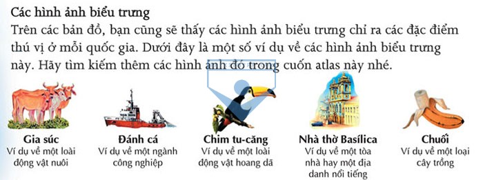 cac hinh anh bieu trung