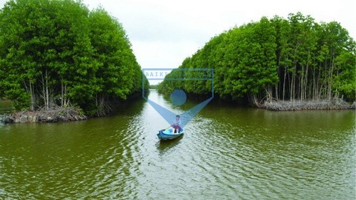 Cảnh sắc và hương vị đất nước: Thuyền xuôi về Năm Căn