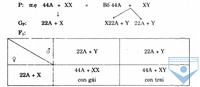 hinh 3