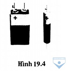 hinh 19.4