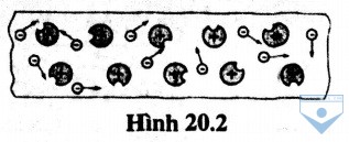hinh 20.2