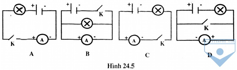 hinh 24.5