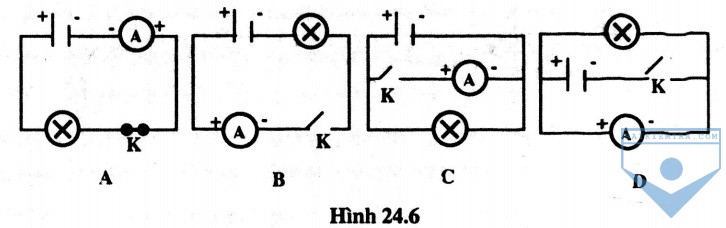 hinh 24.6