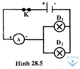 hinh 28.5
