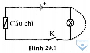 hinh 29.1