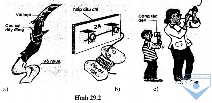 hinh 29.2
