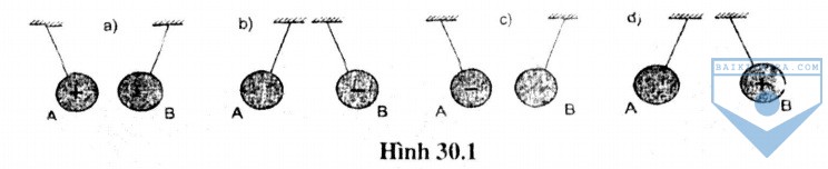 hinh 30.1