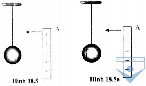 hinh 18.5
