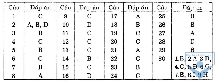 dap an bai so 10