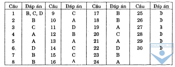 dap an bai so 11