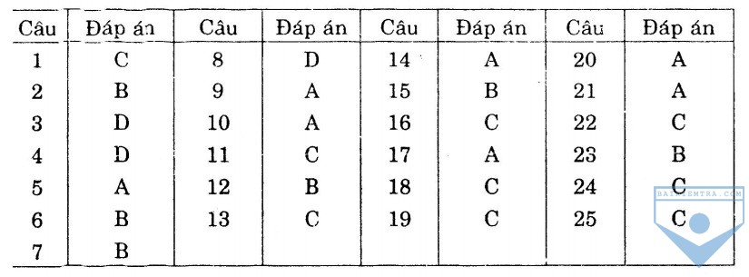 dap an bai so 13