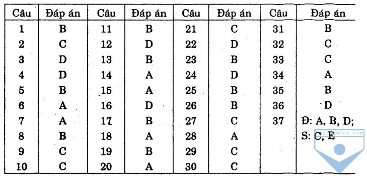 dap an bai so 15