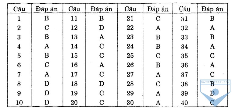 dap an bai so 17