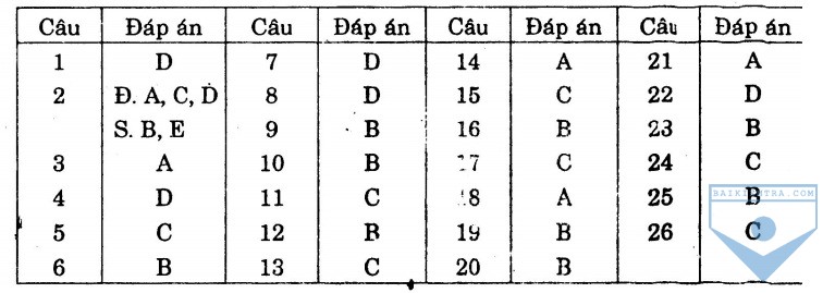 dap an bai so 19